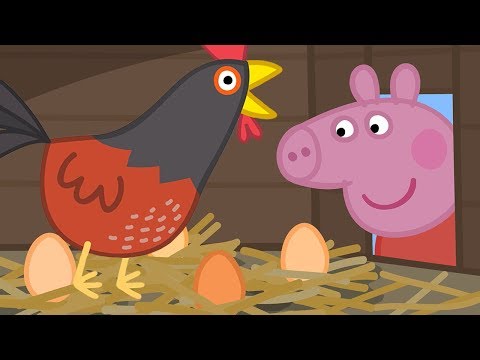 Świnka Peppa po Polsku | Kurczęta Babci Świnki | Bajki Po Polsku