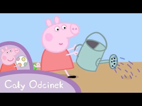 Świnka Peppa po Polsku | Ogrodnictwo | Bajki Po Polsku