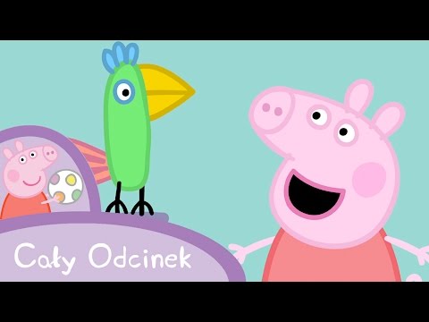 Świnka Peppa po Polsku | Papuga Polly | Bajki Po Polsku